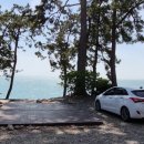 나로힐링펜션 이미지