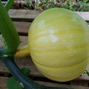 제일미니슈퍼 이미지