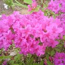 새싹어린이공원 이미지