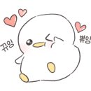 에일리언스트링워크샵 이미지