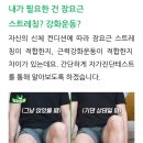 허리통증의 주범, 장요근 스트레칭 대신 강화운동 하세요 이미지
