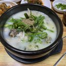 족보잇는국밥 - 안산시 상록구 | [수원 인계동 국밥 맛집]족보잇는 순대국, 뜻밖에 찾은 국밥 맛집 내돈내산 리얼후기