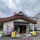 서래스포츠 | [서래쭈꾸미 하남미사점] 부모님과 가기 좋은 깔끔한 하남쭈꾸미맛집