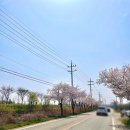 지에스25 평택오성점 이미지