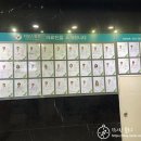 브레댄코용인다보스 이미지