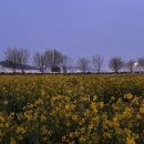 할매맛집 | 김해 대동할매국수 맛집맞나 내돈내산 솔직후기