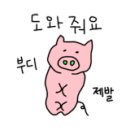 장미원골목시장 이미지