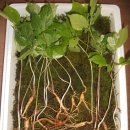 내방농장 이미지