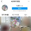 소담꽃 이미지
