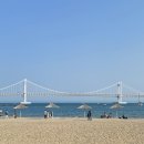국제밀면 네이버블로그
