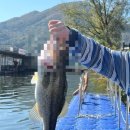 다감 스테이 이미지