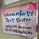 화명동 참치 코스요리 맛집 본참치 후기