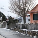 완도읍-11 이미지