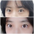 주엽속눈썹 잘하는곳 리리앤유 노글루 수분펌 후기!