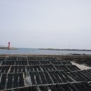 일광보리밥 이미지