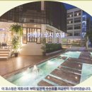 LK농장 | 파타야 아레카 로지 호텔 추천: 솔직 후기와 파타야 여행 꿀팁