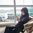 퍼니퍼니(FUNNY FUNNY) | 모든 기내식에서 닭을 먹다 닭이 된 썰을 푼다.