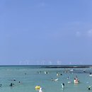 상진 목장 | [🍊제주도 금능 2박 3일] 이렇게 행복을 만나다 🥐🐳 금능해수욕장 수영 후기 금능 맛집 rnr베이커리 내돈내산