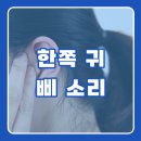 (주)엠아이제이 이미지