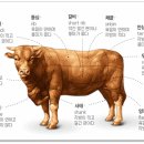 한우의힘 이미지