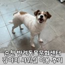 문화목욕탕 | 순천 반려동물문화센터 강아지 셀프 목욕탕 솔직 이용 후기 (예약방법)