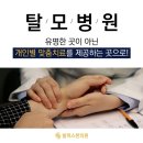 호애환경