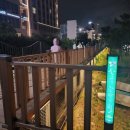 어부의술상 네이버블로그
