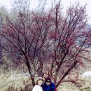 푸른상회 이미지