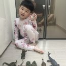 어린이날 선물 추천, 컬렉타 피규어 50개 모은 아빠의 솔직 후기