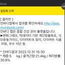 클라안 이미지