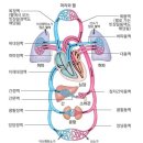 창덕궁미인당 네이버블로그