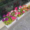 루루베이커리 | 데이트 코스로 딱💕 원주명륜동 베이커리 카페! 베이커리루루 두 번째 방문 후기