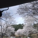 고복수변공원 이미지