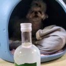 모월2호 네이버블로그