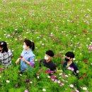 부리면사무소 앞 이미지