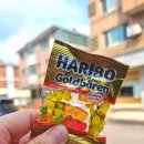 [일산 맛집] 밤리단길 양식 레스토랑 추천 &#39;코너그레이&#39; 후기
