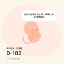 스타팍스부동산중개(주) | [임신14-15주] 14주 성별 공개 베스킨라빈스 젠더리빌 먹짱임산부 등극
