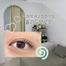 율하브로우눈썹&속눈썹 | [수원역] 솔리드브로우 눈썹&속눈썹 수원점 / 솔직후기 / 수원역 늦게까지 하는 속눈썹펌 맛집