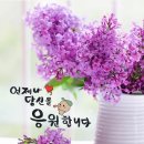 천냥백화점 이미지