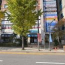 늘푸른학원 네이버블로그