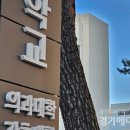서한메디 네이버블로그