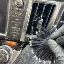 모스트디테일링 이미지