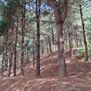 창3동 공립 작은도서관 네이버블로그