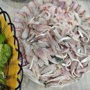 삼진마트 | 마산 댓거리 자연산회 맛집 삼진횟집
