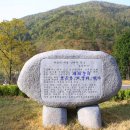 개랭이고들빼기마을 이미지