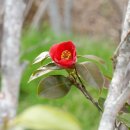 협동조합 마을산책 이미지