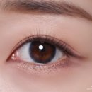 브라운 로 | 마이피픈 x 로지피끄 - 루코어 브라운 &amp; 어비스 블루