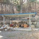 진전면902 이미지