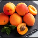 주식회사 오너 이미지