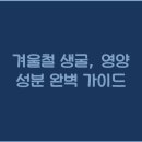 생굴사랑 이미지
